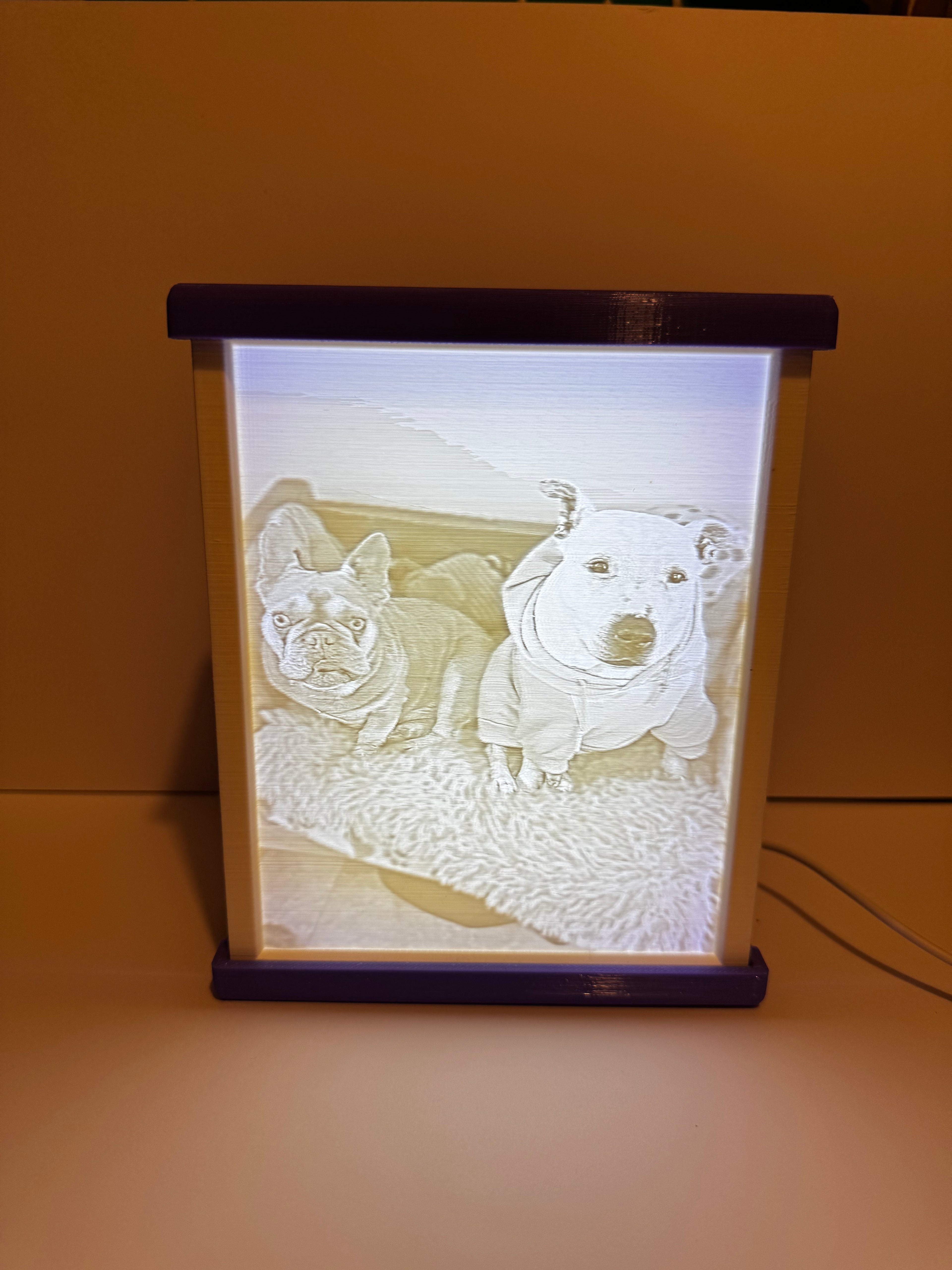 LED Lithophane